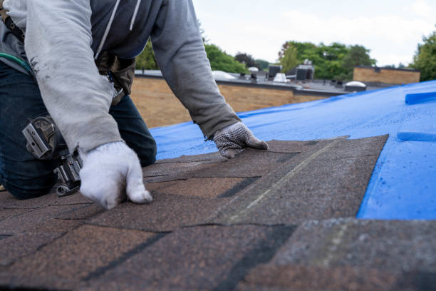 Best Gutter Installation and Roofing  in Hicksville, OH
